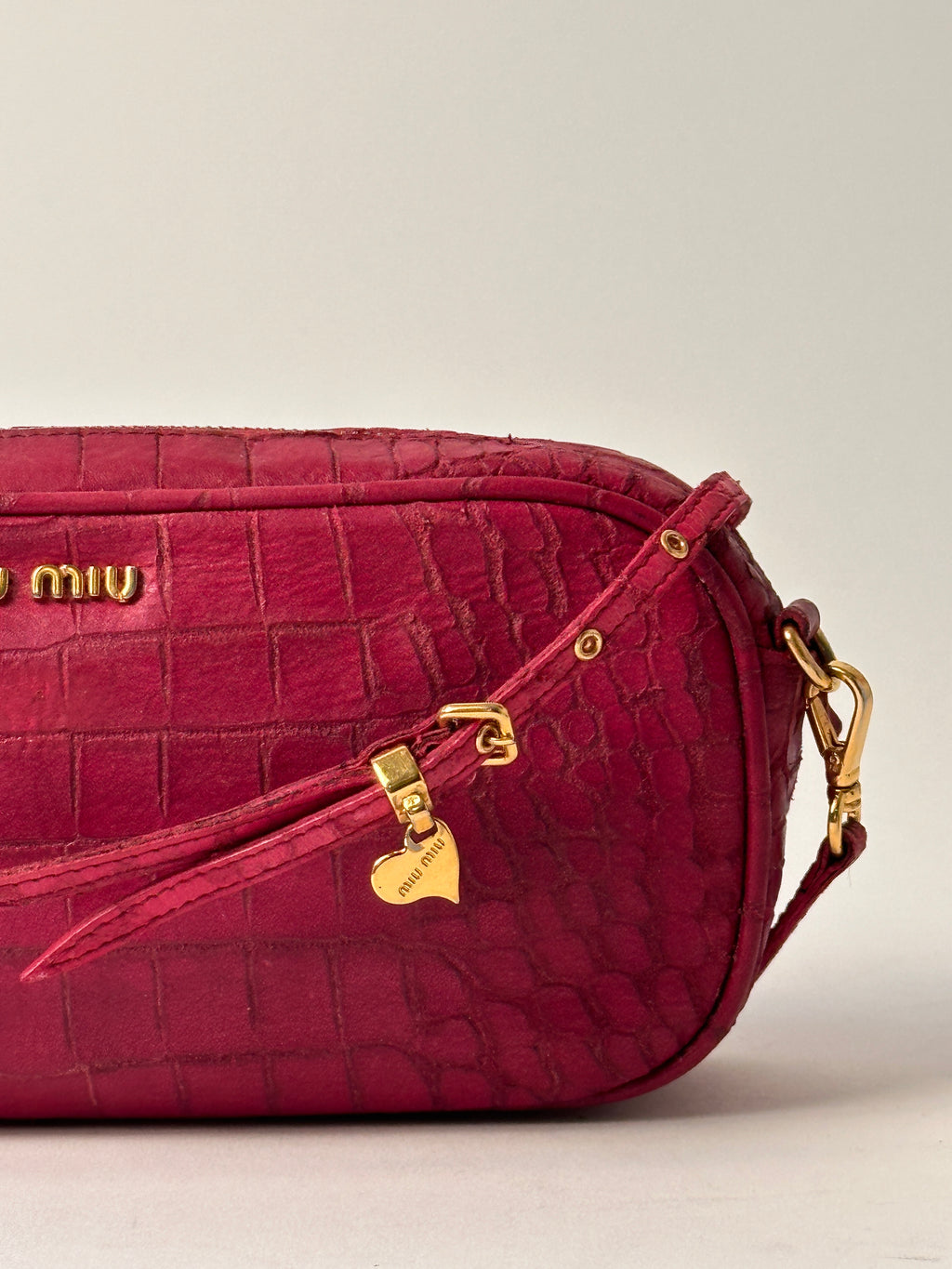 Miu Miu Camera