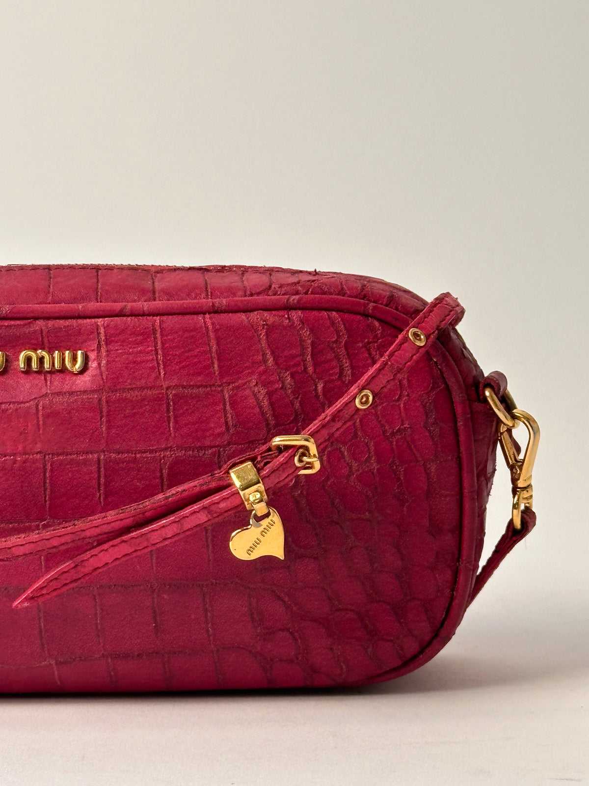 Miu Miu Camera