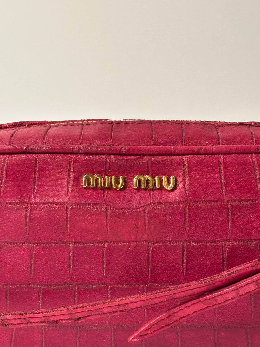 Miu Miu Camera