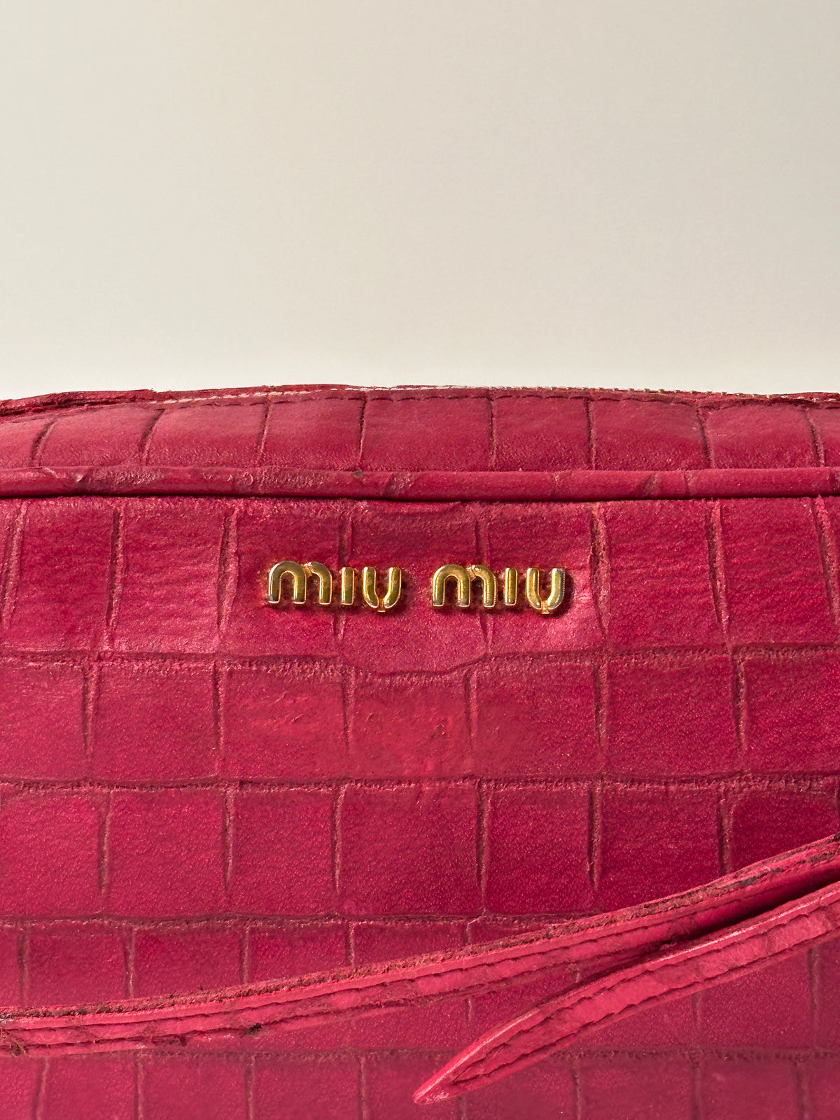 Miu Miu Camera