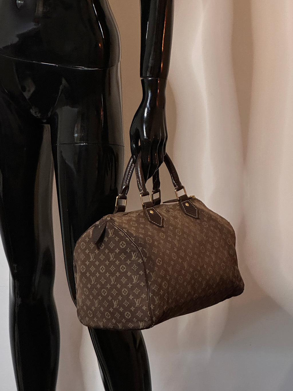Louis Vuitton Speedy 30